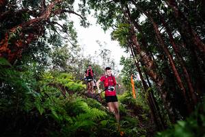 BIB: 
                            <button type="button" onclick="openModal(26202518)" class="btn btn-primary btn-sm float-right btn-popup" data-toggle="modal" data-target=".modal-high-quality">
                        <i class="fas fa-shopping-cart"></i> Add to Cart
                    </button>
                                            <button type="button" onclick="isThisMe(26202518, true)" class="btn btn-success btn-sm float-right btn-popup btn-isme hidden" data-toggle="tooltip" data-placement="bottom" title="นี่คือรูปของคุณใช่ไหม คลิกที่นี่เพื่อเอาเข้าอัลบั้ม">
                        <i class="fas fa-plus"></i> Add to album
                    </button>
                    <button type="button" onclick="isThisMe(26202518, false)" class="btn btn-warning btn-sm float-right btn-popup btn-isnotme hidden">
                        <i class="fas fa-ban"></i> Remove from album
                    </button>